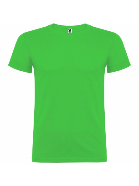 t-shirt-beagle-colorata-verde oasis.jpg